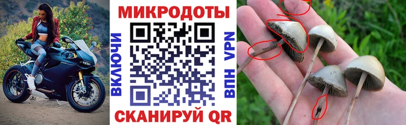 Галлюциногенные грибы GOLDEN TEACHER  Ачинск 