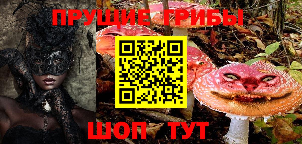 Галлюциногенные грибы Psilocybine cubensis Ачинск