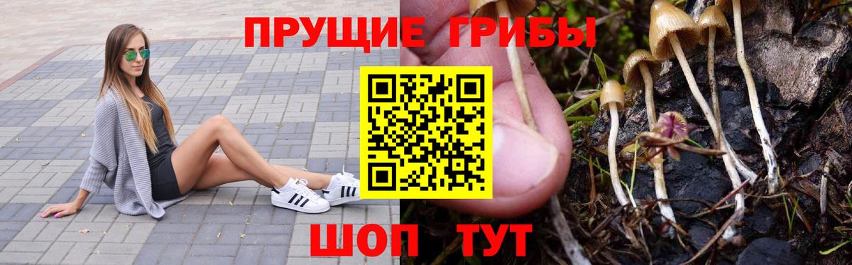 Галлюциногенные грибы MAGIC MUSHROOMS  Ачинск 