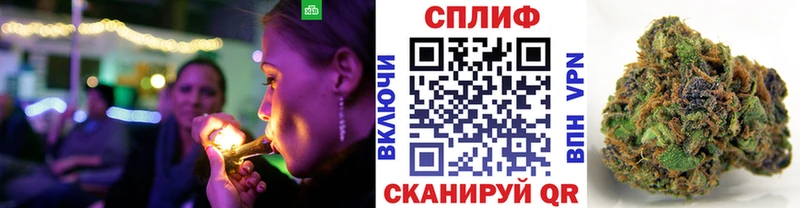 кракен сайт  Ачинск  Канабис сатива 